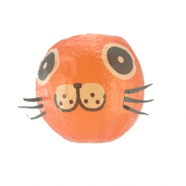 images/productimages/small/ballon-zeehond-orange.jpg