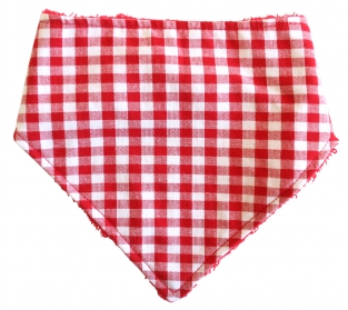 Alimrose Dribble bib red gingham