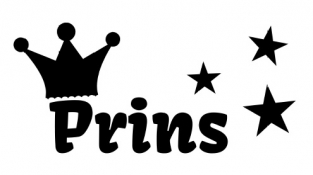 Strijkapplicatie Prins