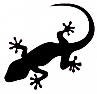 veloursmotief applicatie strijkapplicatie salamander