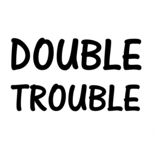 Strijkapplicatie voor tweeling Double Trouble
